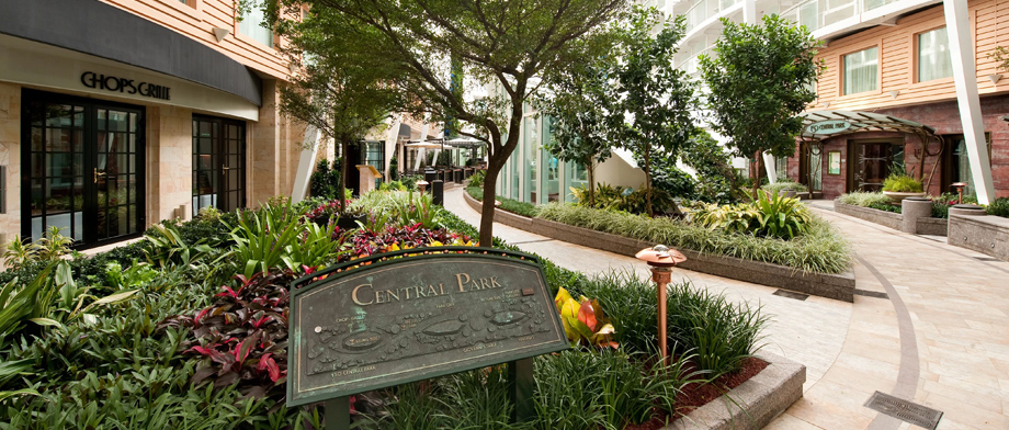 Central Park auf der Star of the Seas